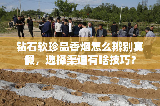 钻石软珍品香烟怎么辨别真假，选择渠道有啥技巧？